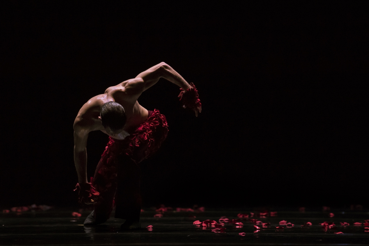 Le Spectre de la Rose Goecke Les Ballets de Monte-Carlo