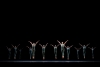 Artifact Suite William Forsythe Les Ballets de Monte-Carlo
