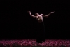Le Spectre de la Rose Goecke Les Ballets de Monte-Carlo 